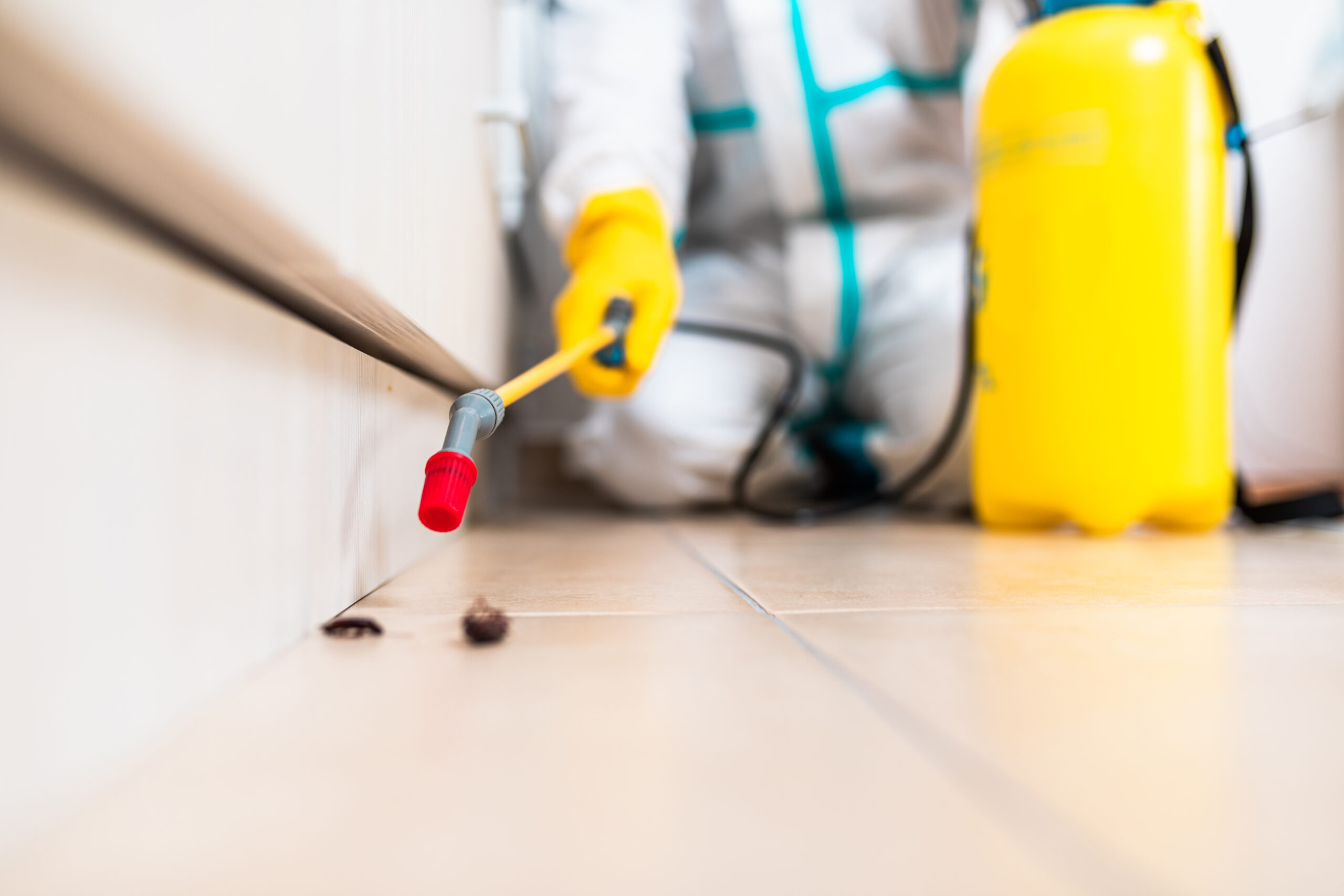 Pest Solutions Pompano Beach